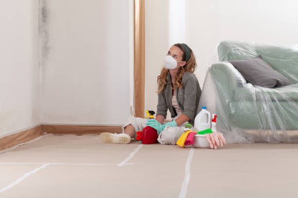 Reliable Mold Remediation contractor in Deer Park, IL by WQB Mold Removal